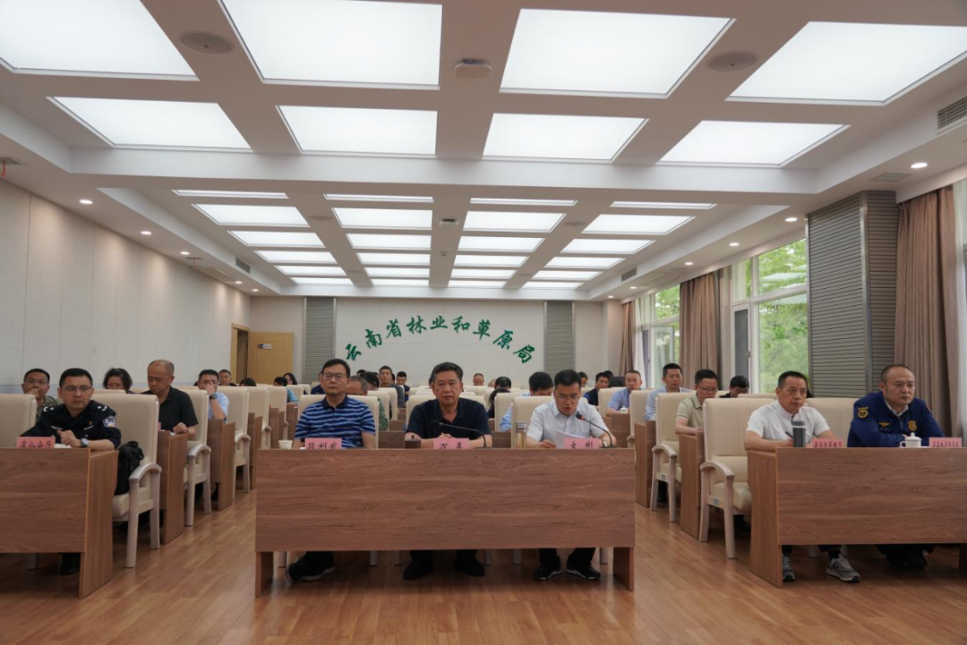 省森林草原防灭火指挥部召开全省森林草原防灭火工作视频调度会